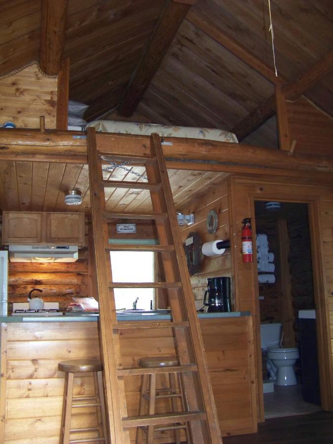 Box Canyon Cabins Σιούαρντ Εξωτερικό φωτογραφία